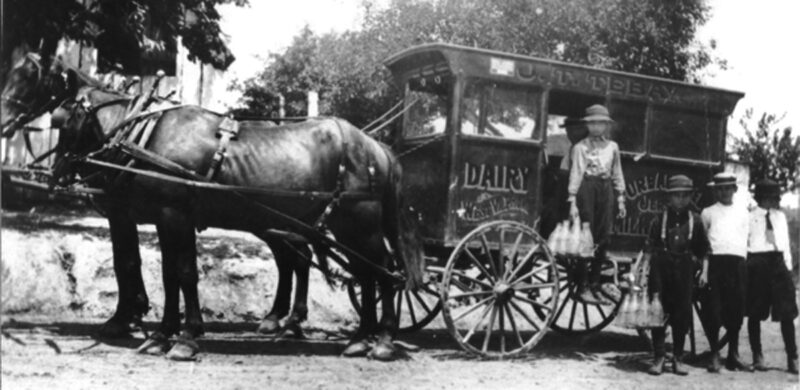 Look Back: Milking it for all it is worth (continued)